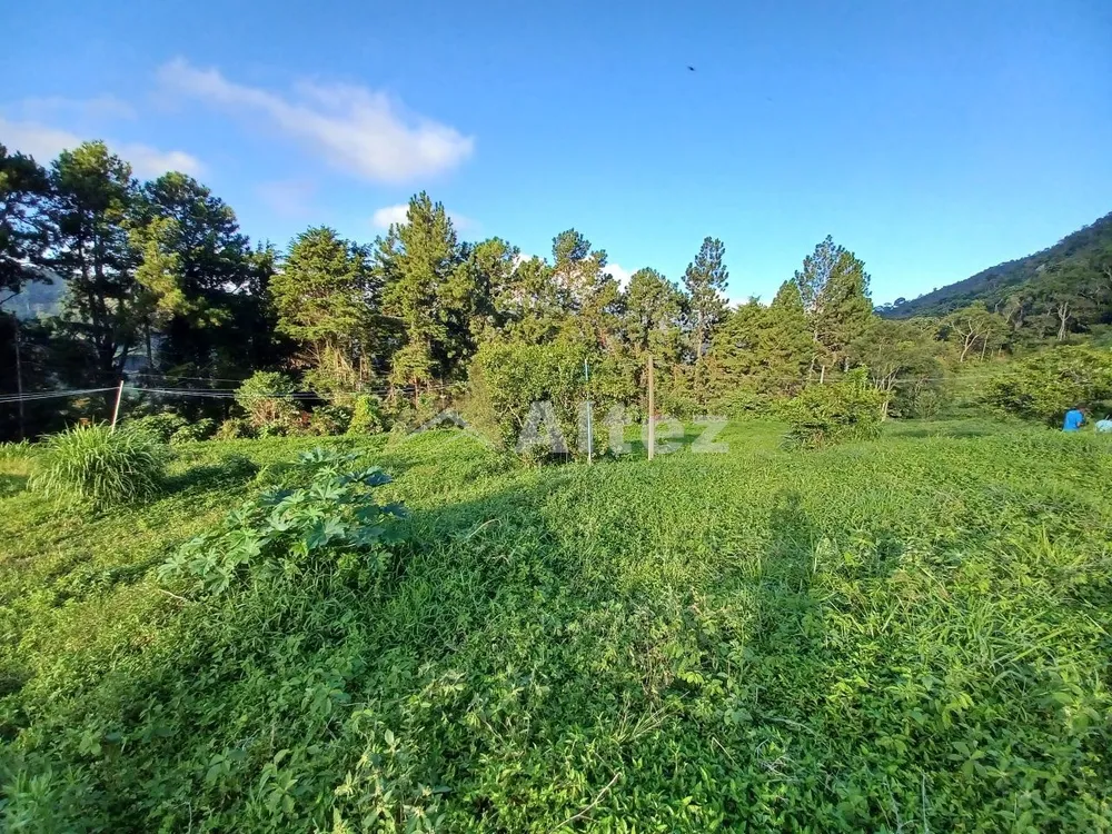 Sítio, 1 quarto, 12 hectares - Foto 21