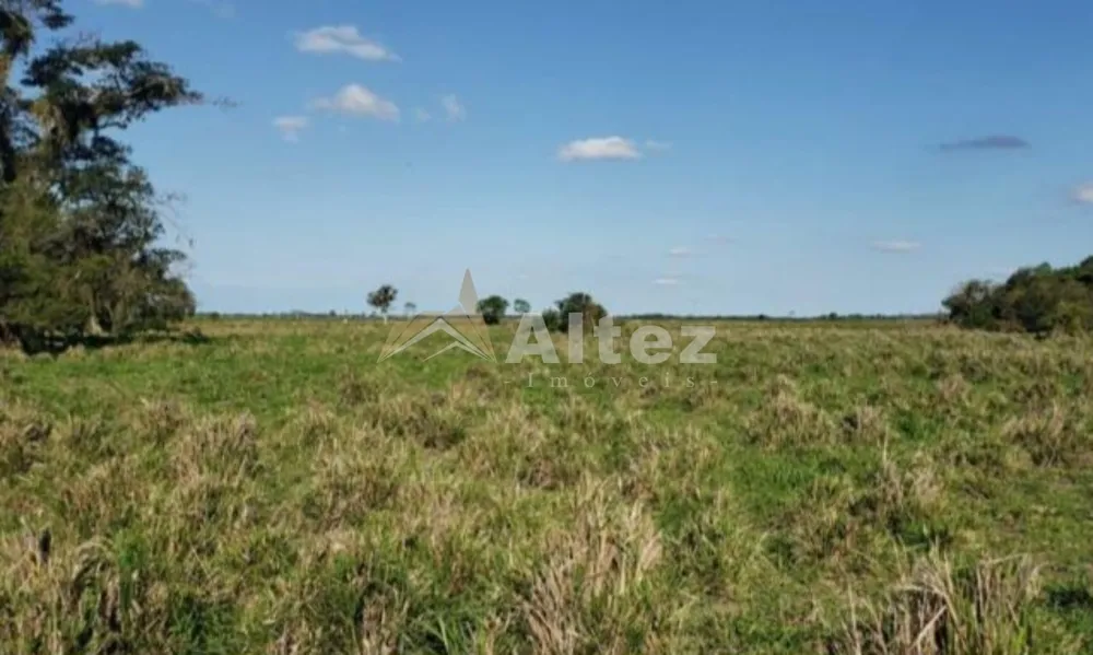 Fazenda, 444 hectares - Foto 1