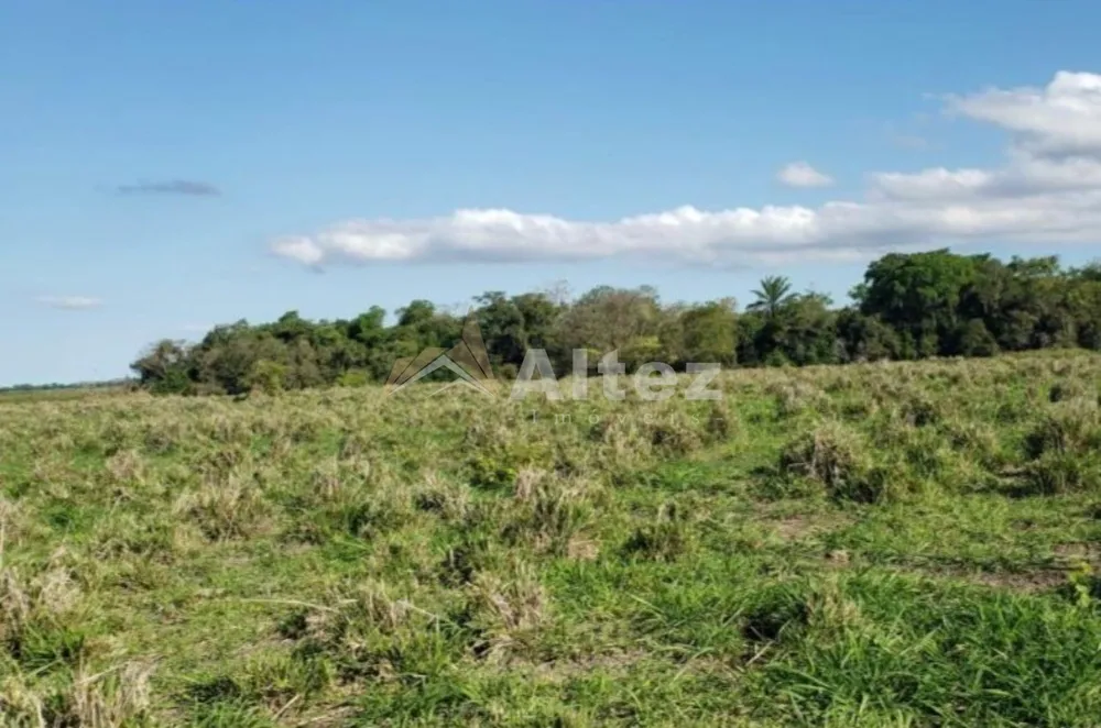 Fazenda, 444 hectares - Foto 4