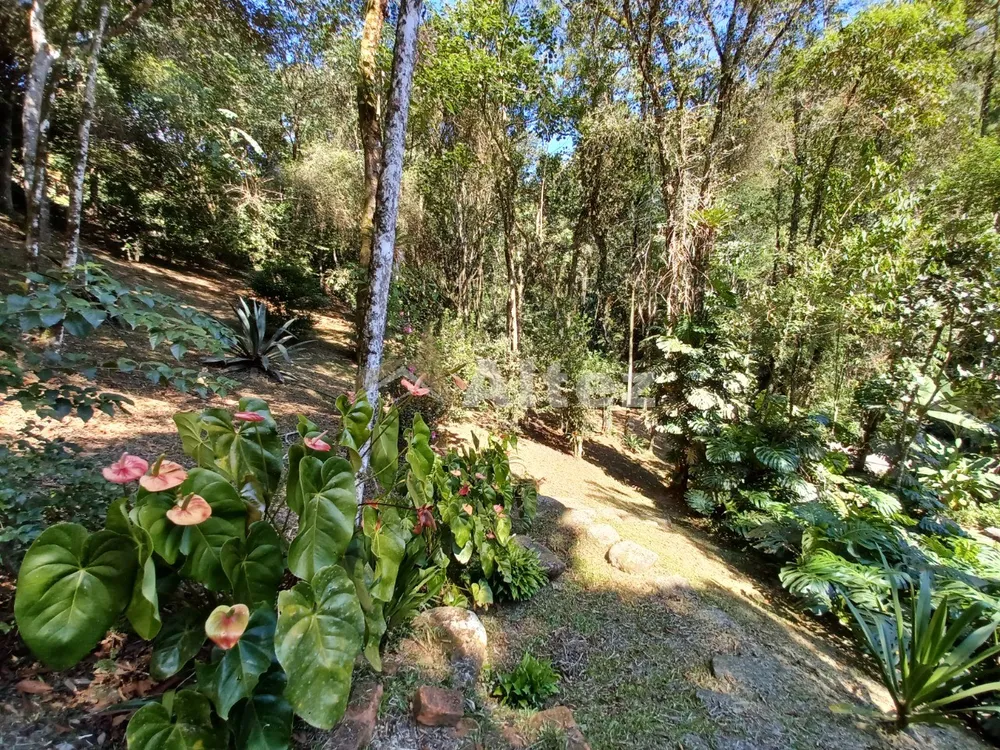 Sítio, 7 quartos, 11 hectares - Foto 38