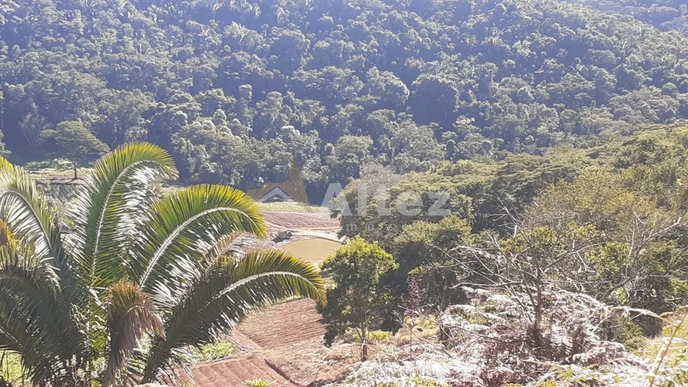 Sítio, 3 quartos, 25 hectares - Foto 15