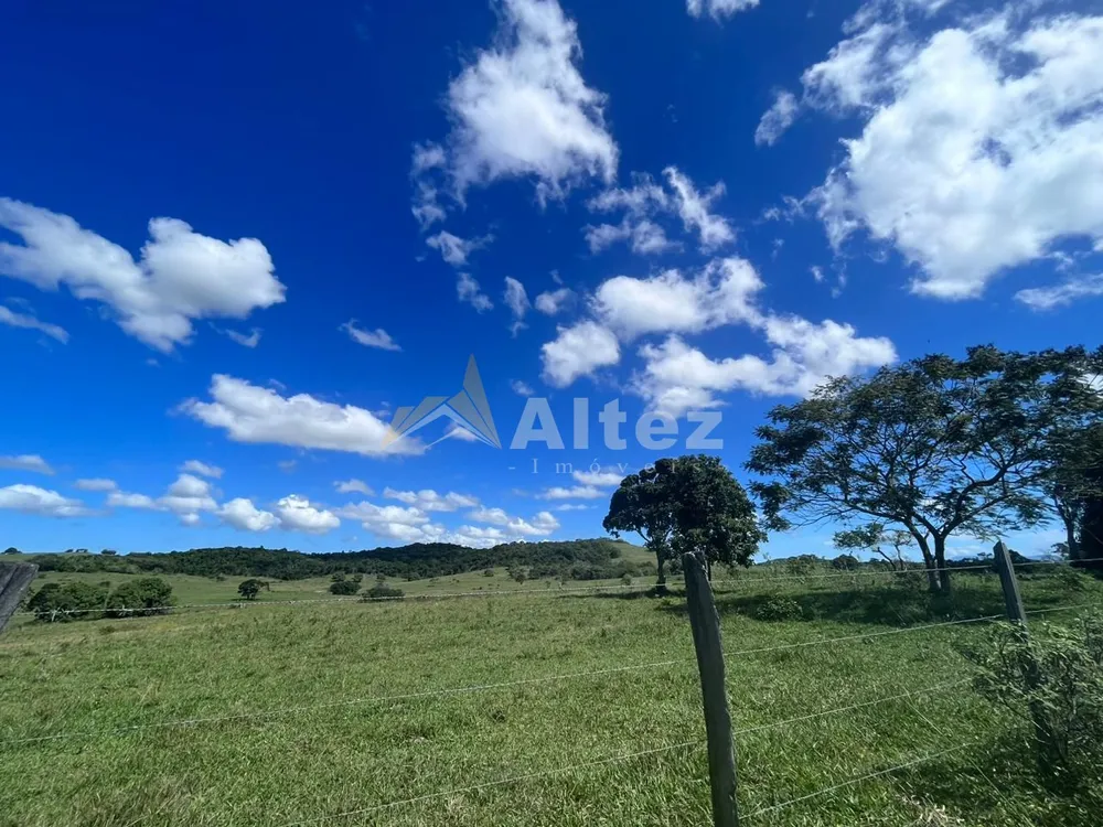 Fazenda, 252 hectares - Foto 31