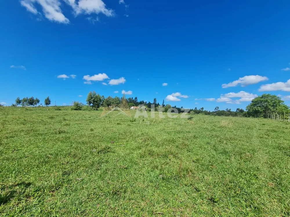 Fazenda, 252 hectares - Foto 19