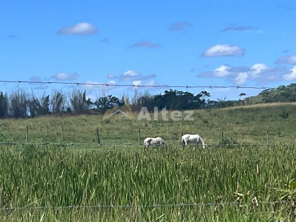 Fazenda, 252 hectares - Foto 28