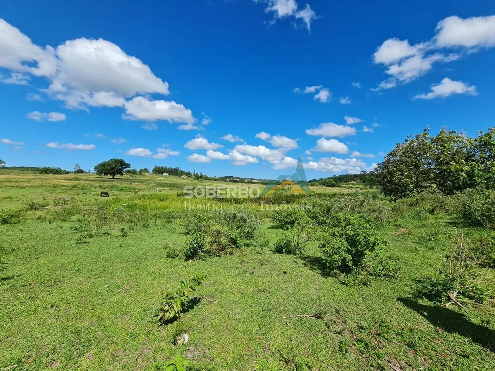 Fazenda à venda com 2 quartos, 2516800m² - Foto 2