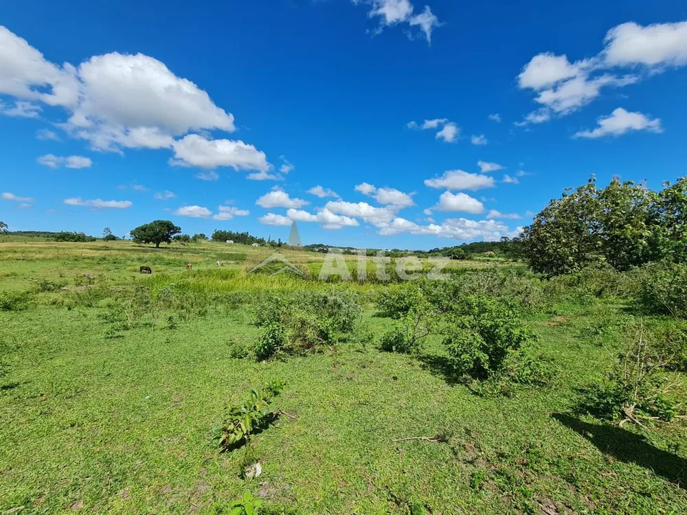 Fazenda, 252 hectares - Foto 6