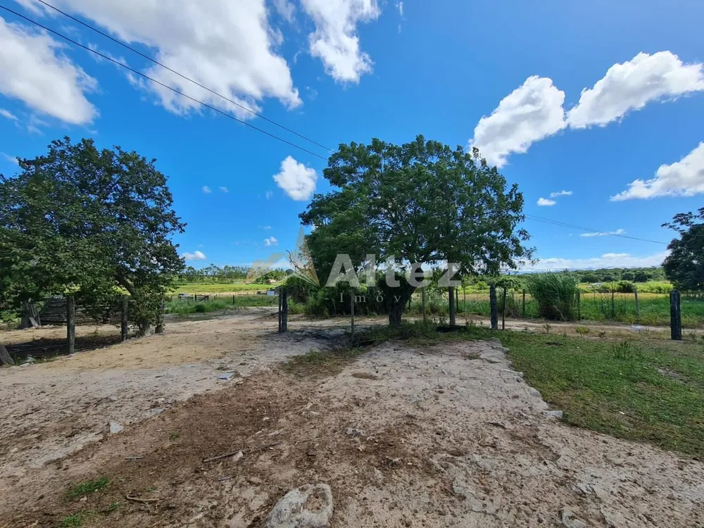 Fazenda, 252 hectares - Foto 10