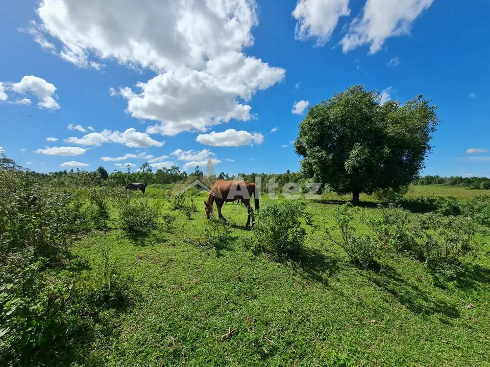Fazenda, 252 hectares - Foto 9