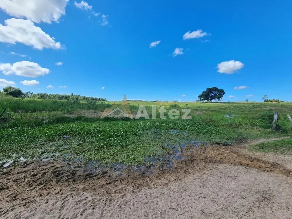 Fazenda, 252 hectares - Foto 11