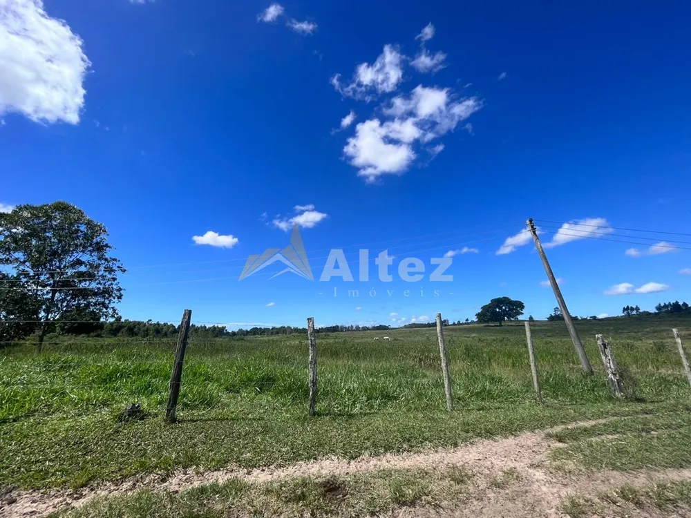 Fazenda, 252 hectares - Foto 27
