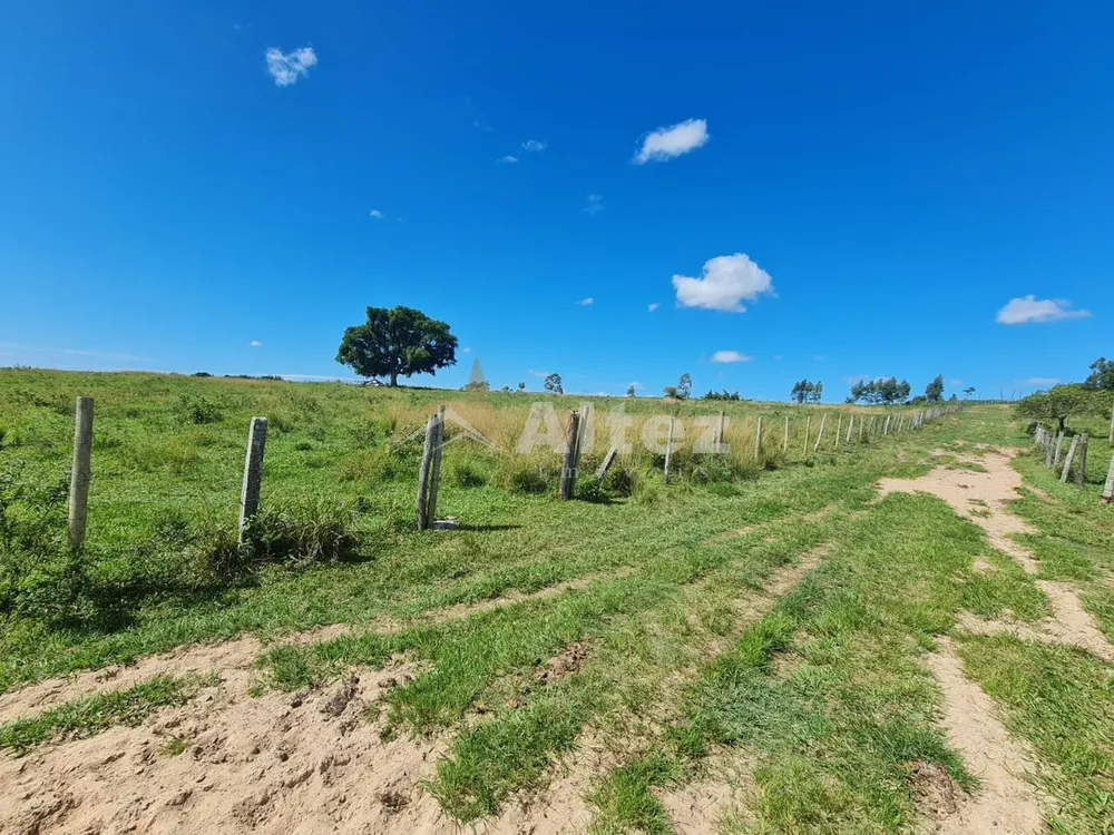 Fazenda, 252 hectares - Foto 17