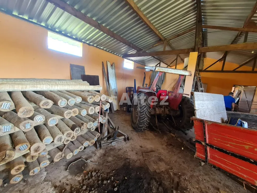 Fazenda, 252 hectares - Foto 16