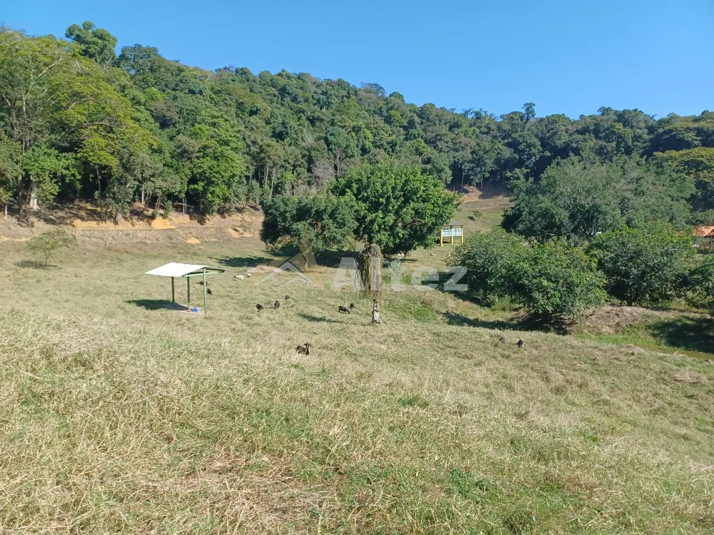 Sítio, 4 quartos, 72 hectares - Foto 87