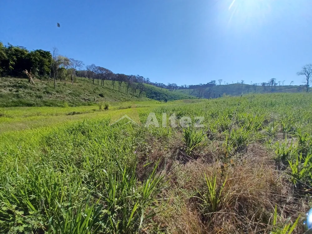 Sítio, 4 quartos, 72 hectares - Foto 79