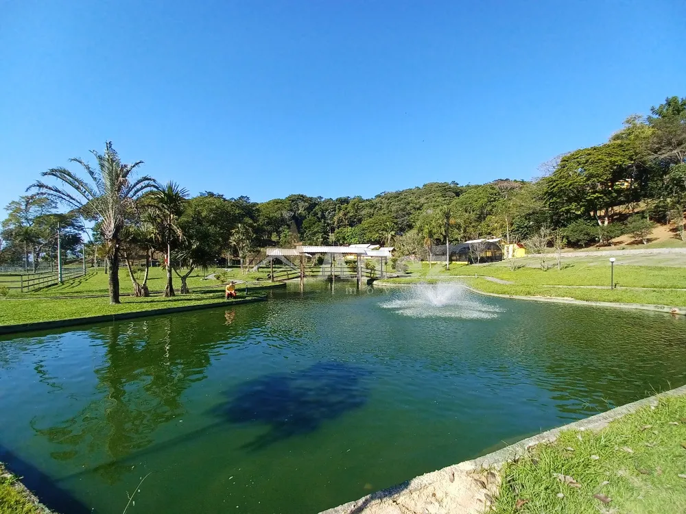 Sítio, 4 quartos, 72 hectares - Foto 6