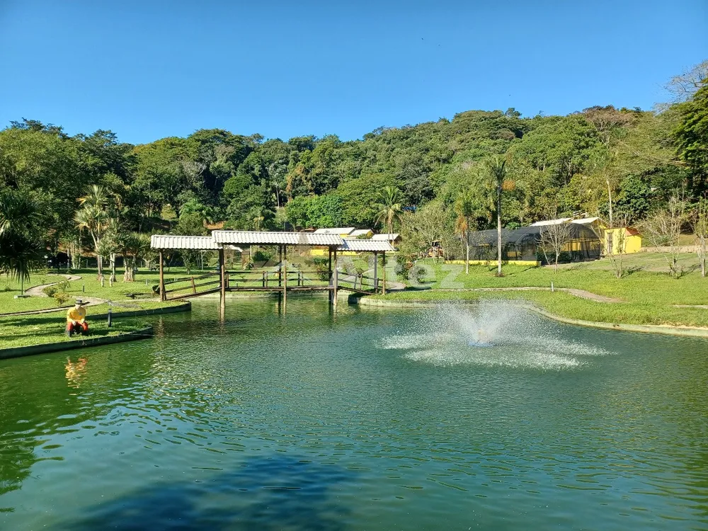 Sítio, 4 quartos, 72 hectares - Foto 7