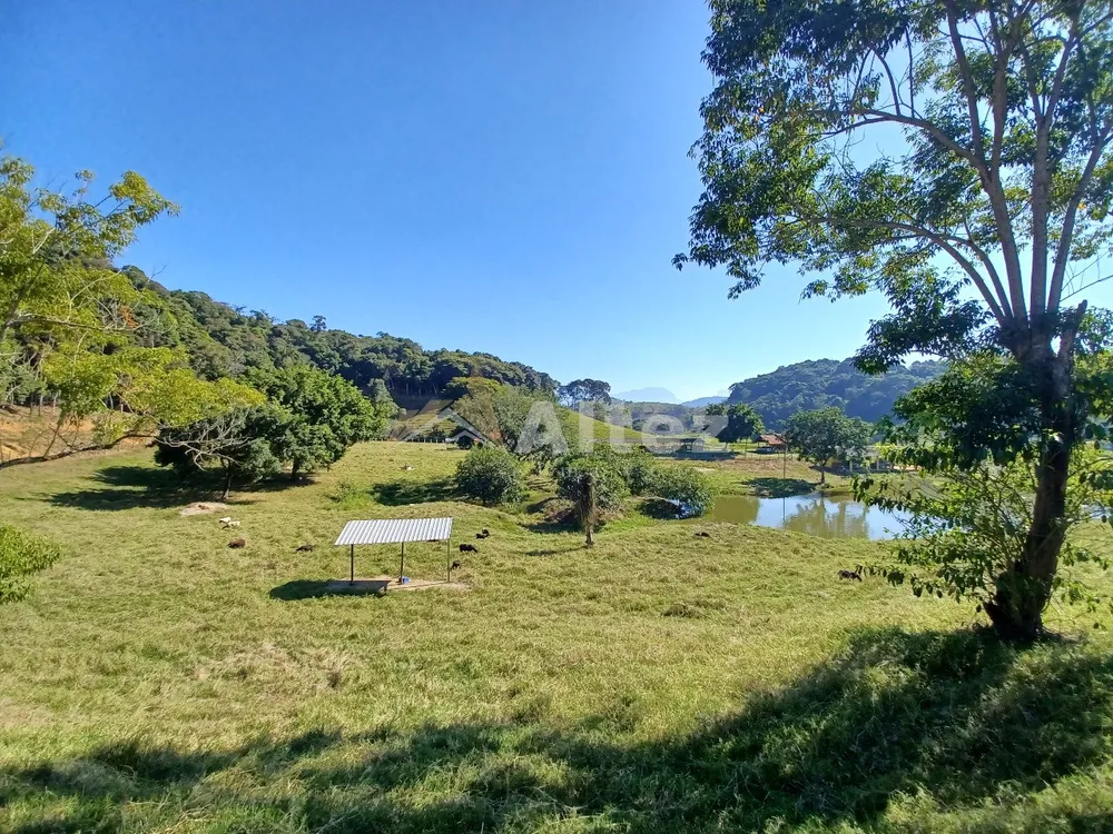 Sítio, 4 quartos, 72 hectares - Foto 84