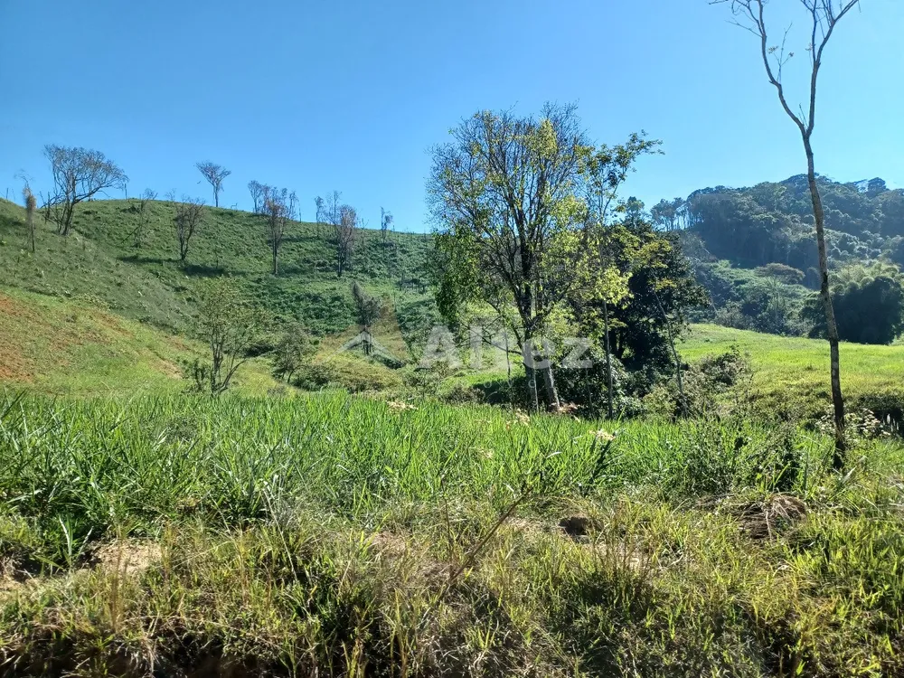 Sítio, 4 quartos, 72 hectares - Foto 80