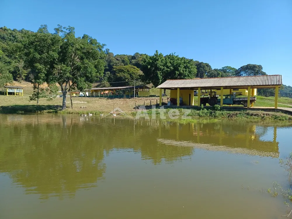 Sítio, 4 quartos, 72 hectares - Foto 92