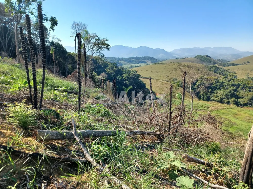 Sítio, 4 quartos, 72 hectares - Foto 74