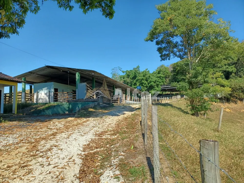 Sítio, 4 quartos, 72 hectares - Foto 88