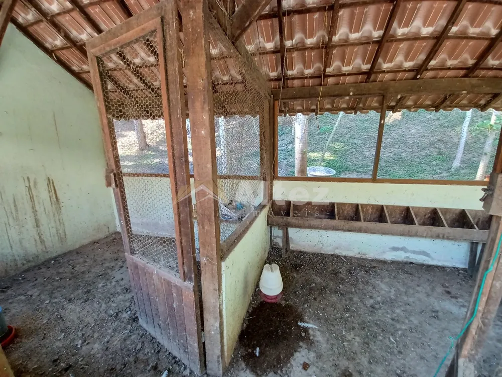 Sítio, 4 quartos, 72 hectares - Foto 14