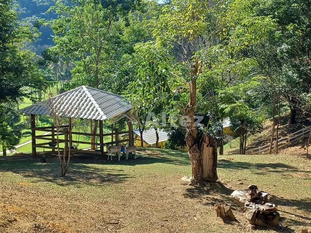 Sítio, 4 quartos, 72 hectares - Foto 71