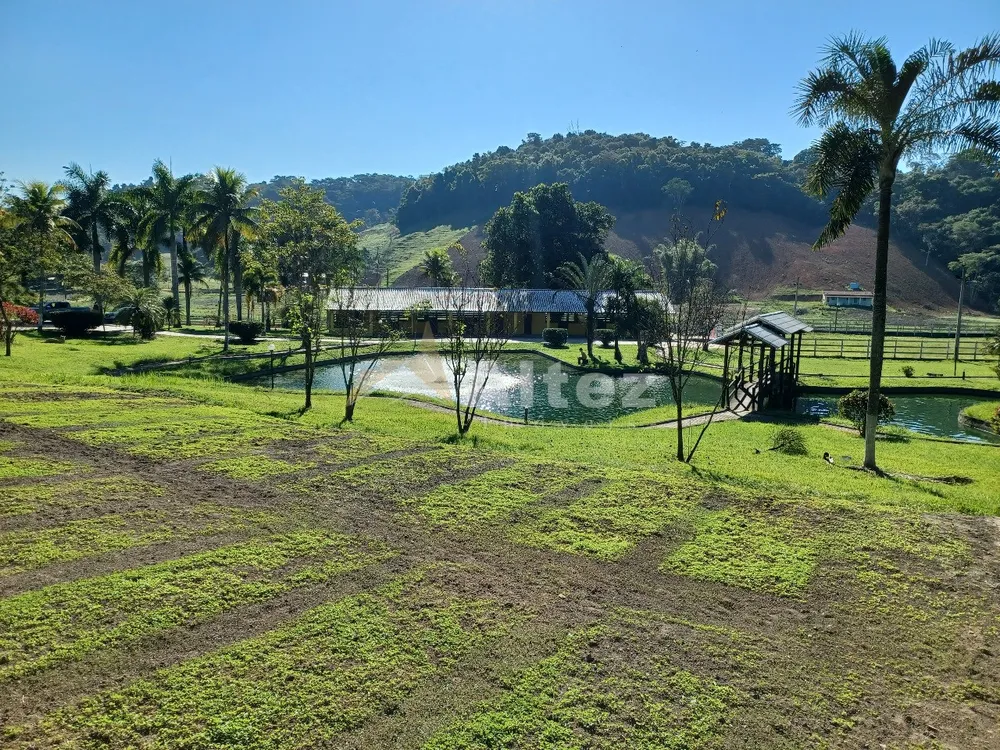 Sítio, 4 quartos, 72 hectares - Foto 20