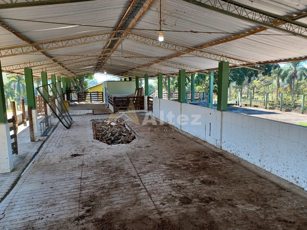 Sítio, 4 quartos, 72 hectares - Foto 82