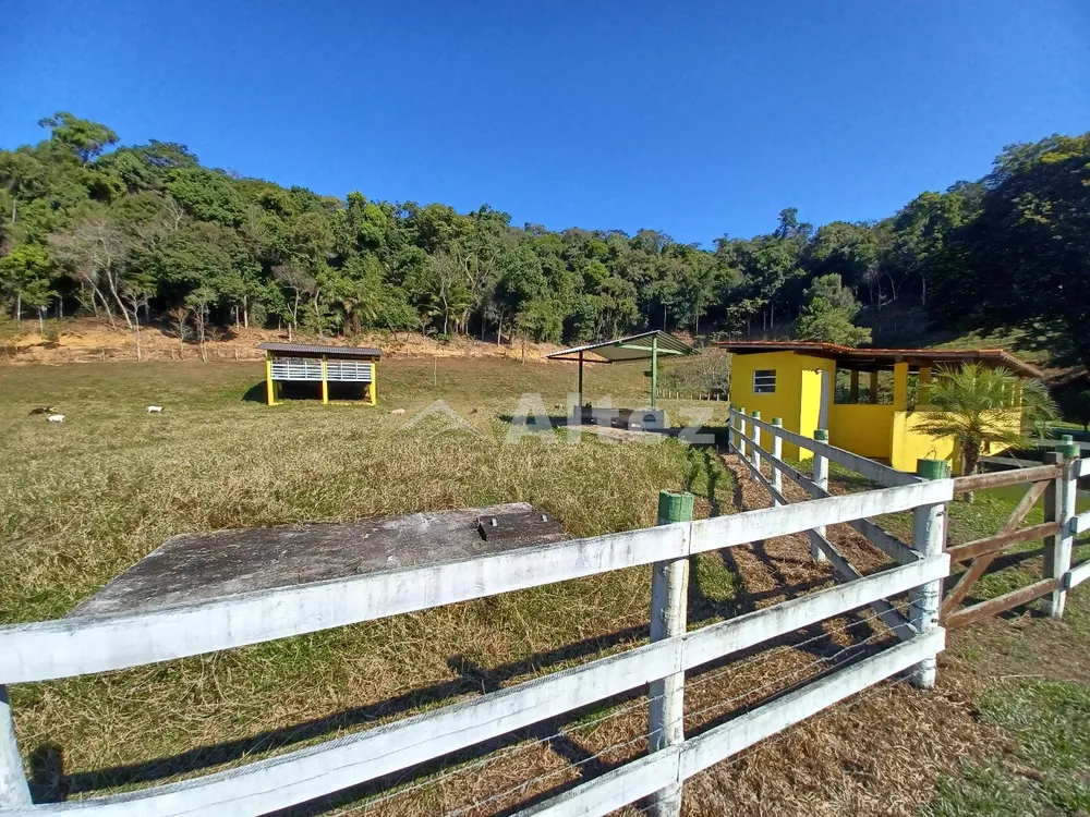 Sítio, 4 quartos, 72 hectares - Foto 101