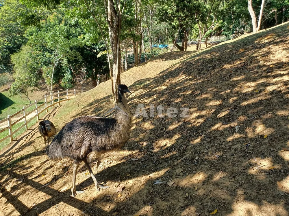Sítio, 4 quartos, 72 hectares - Foto 18