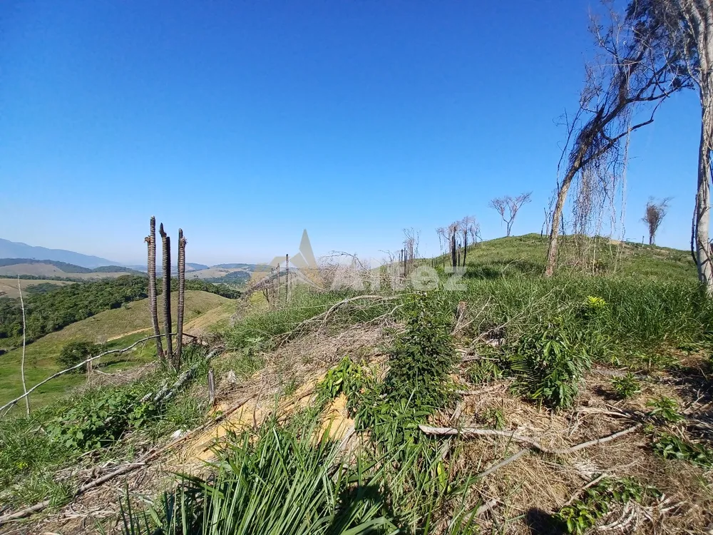 Sítio, 4 quartos, 72 hectares - Foto 72
