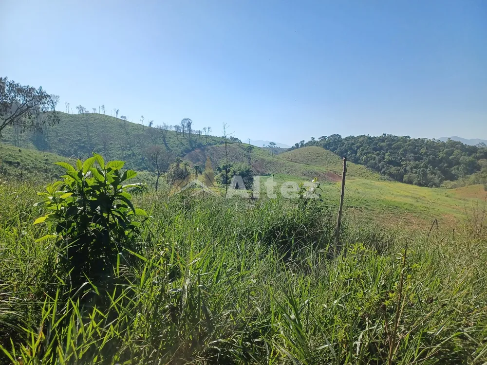 Sítio, 4 quartos, 72 hectares - Foto 78