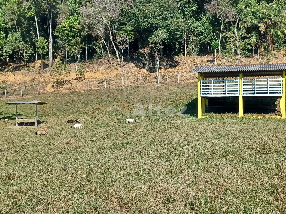 Sítio, 4 quartos, 72 hectares - Foto 102
