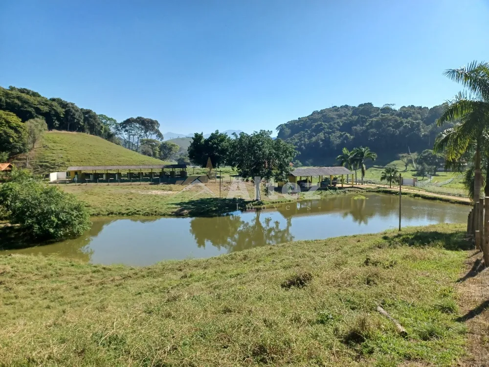 Sítio, 4 quartos, 72 hectares - Foto 86