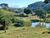 Sítio, 4 quartos, 50 hectares - Foto 3