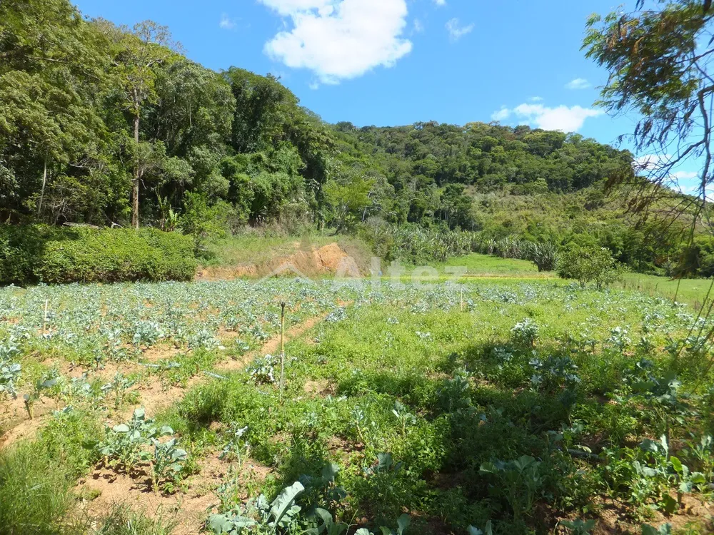 Fazenda, 102 hectares - Foto 42