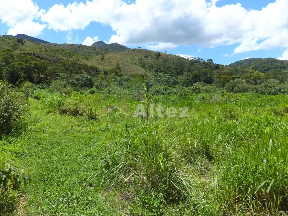 Fazenda, 102 hectares - Foto 10