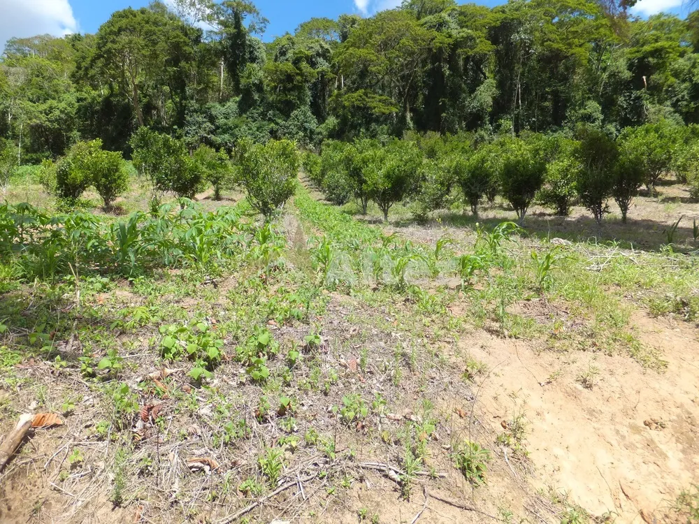 Fazenda, 102 hectares - Foto 48