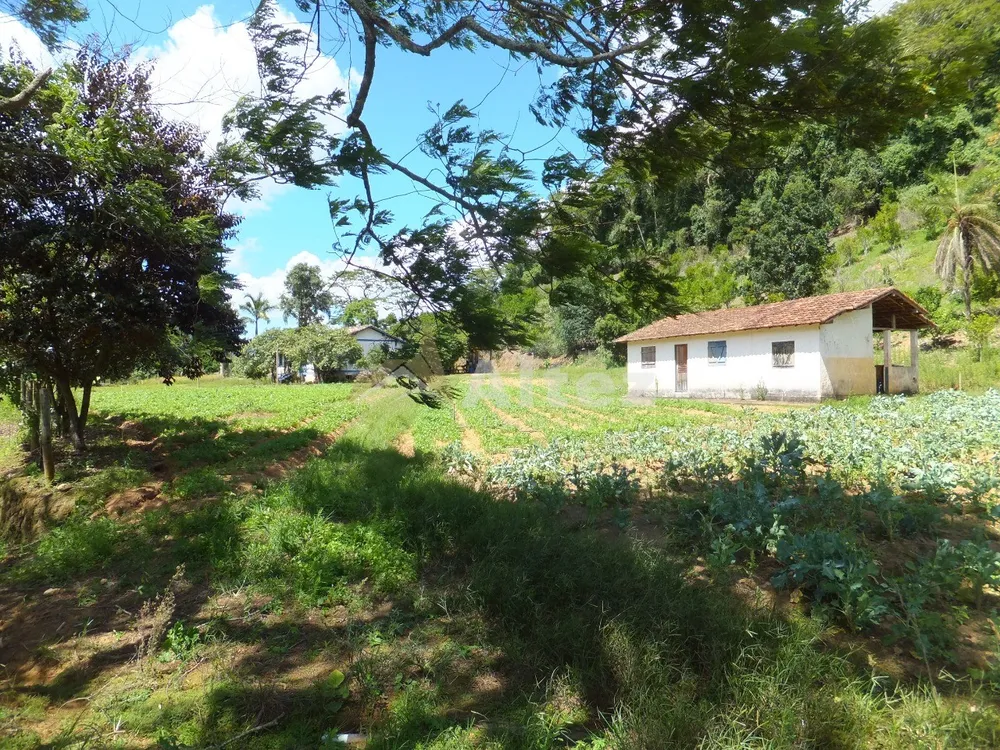 Fazenda, 102 hectares - Foto 43