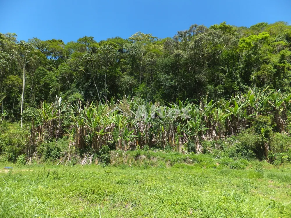 Fazenda, 102 hectares - Foto 28