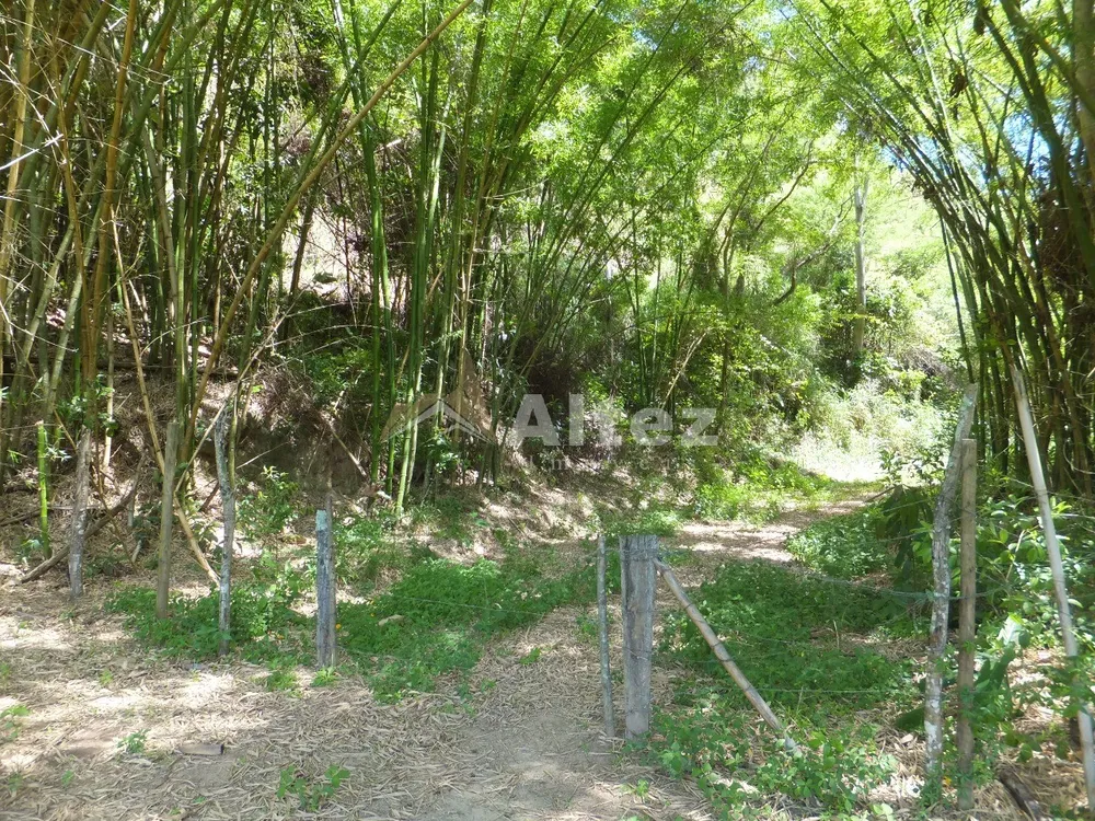 Fazenda, 102 hectares - Foto 32