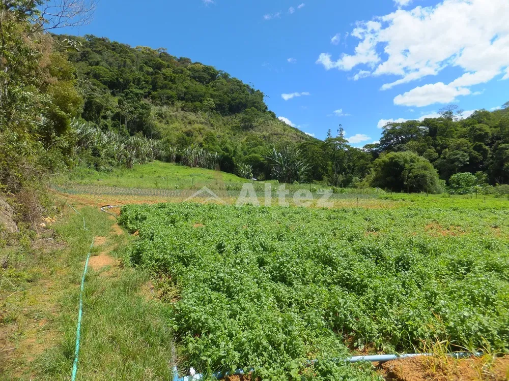 Fazenda, 102 hectares - Foto 25