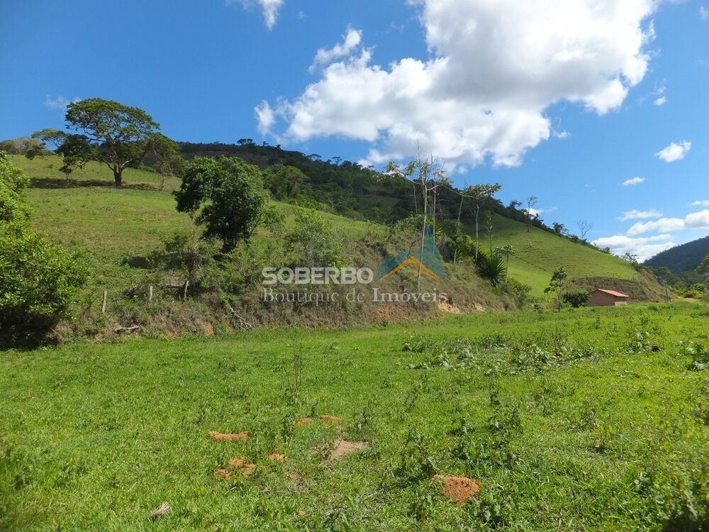 Fazenda, 102 hectares - Foto 4