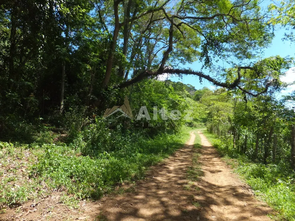 Fazenda, 102 hectares - Foto 6