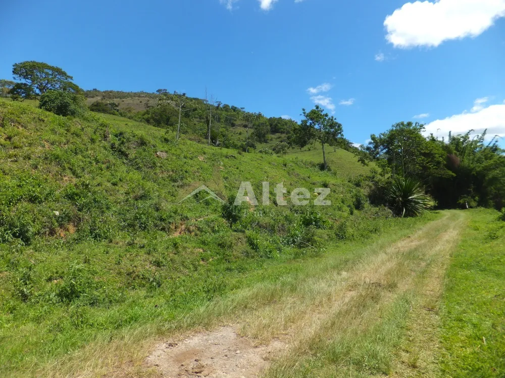 Fazenda, 102 hectares - Foto 12
