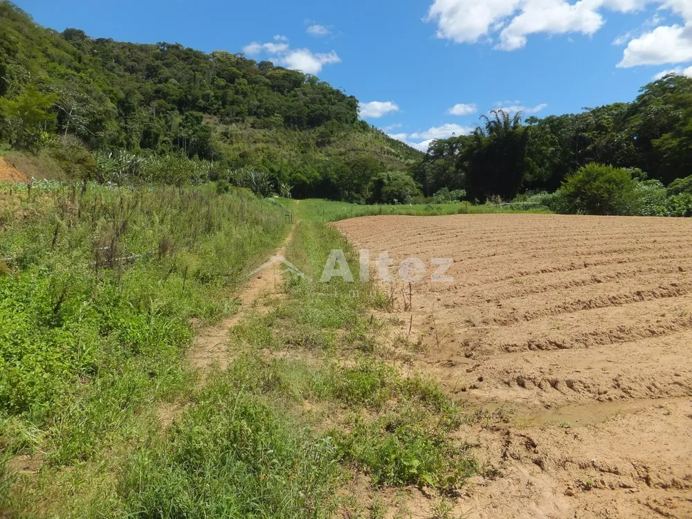 Fazenda, 102 hectares - Foto 40
