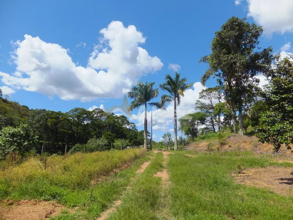 Fazenda, 102 hectares - Foto 47