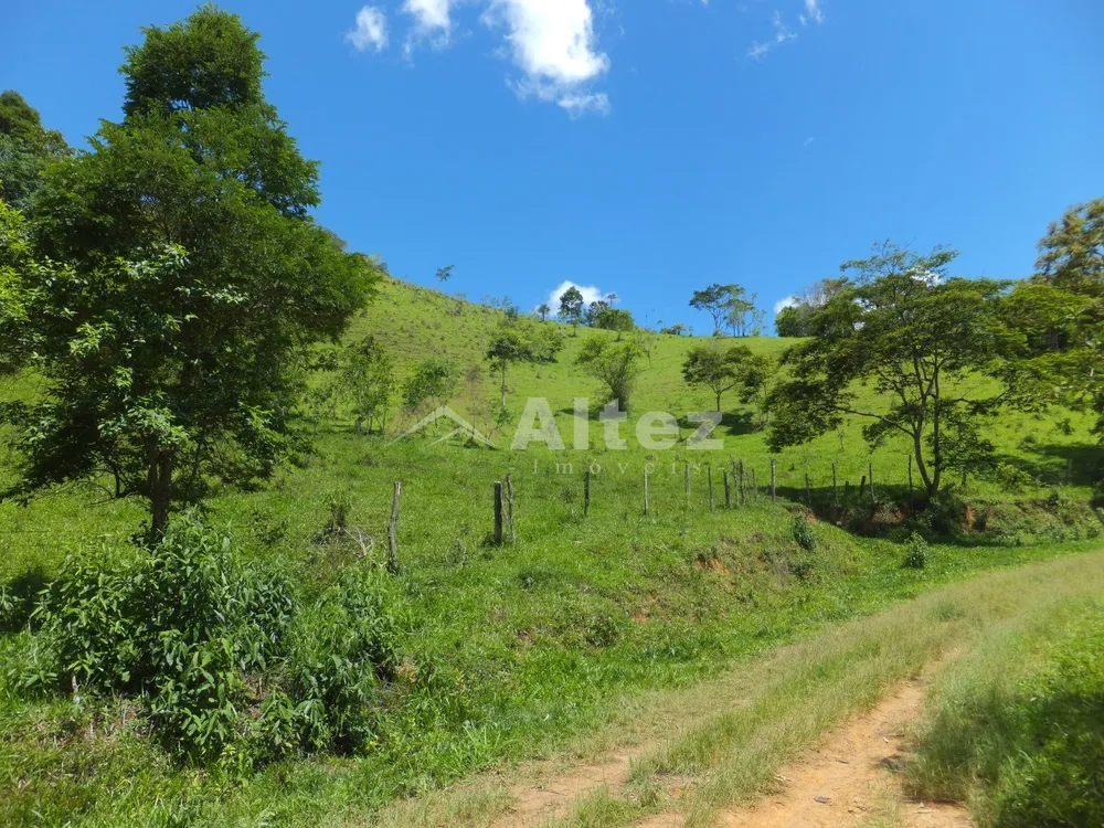 Fazenda, 102 hectares - Foto 8