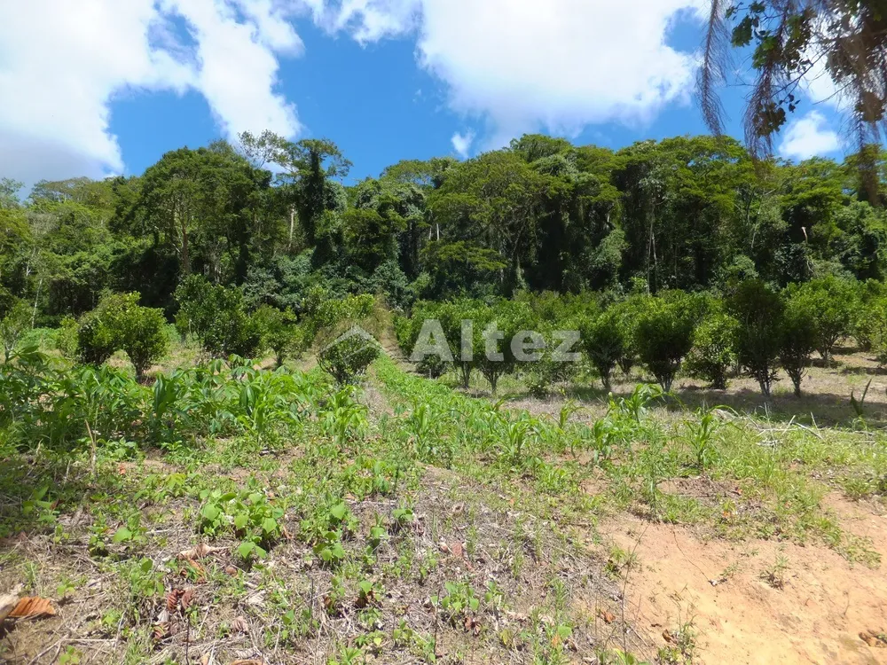 Fazenda, 102 hectares - Foto 49